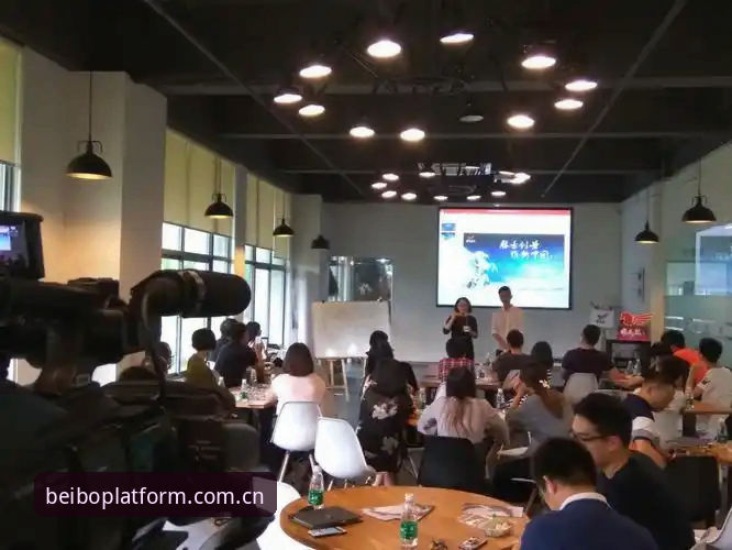 资深用户分享：贝博体育平台v3.2.0版本使用心得与实战经验